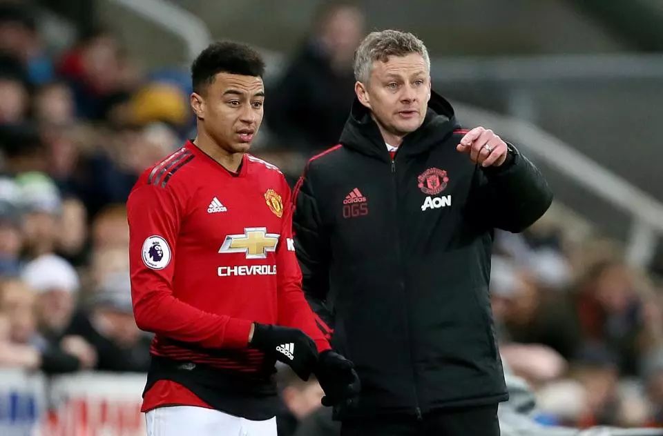 青少年排球 青少年排球